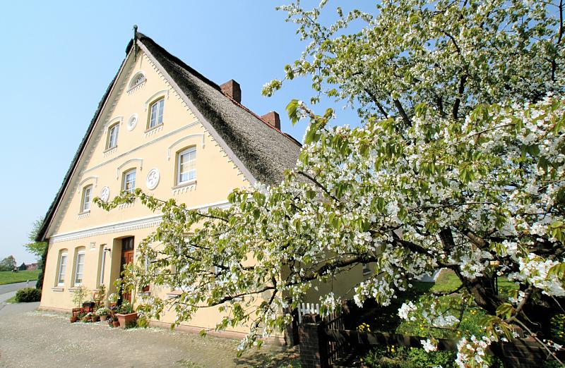 2800_8433 Bauernhaus, Wohngebäude an einer Strasse im Alten Land - Obstbaum am Strassenrand. | Fruehlingsfotos aus der Hansestadt Hamburg; Vol. 2